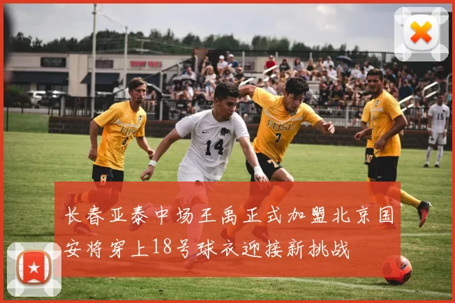 长春亚泰中场王禹正式加盟北京国安将穿上18号球衣迎接新挑战