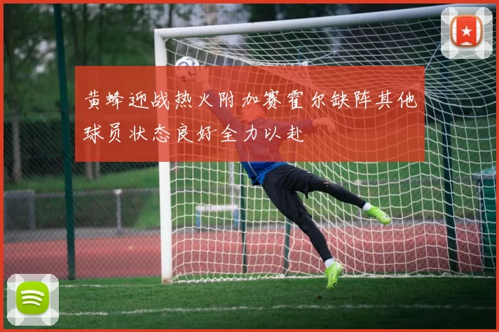 黄蜂迎战热火附加赛霍尔缺阵其他球员状态良好全力以赴