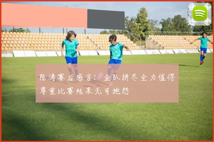 陈涛赛后感言：全队拼尽全力值得尊重比赛结果无可抱怨